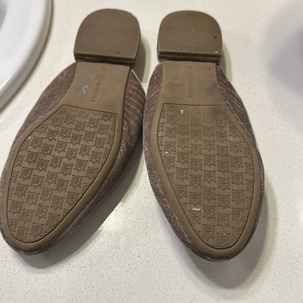 Birdies Python Slides - image 3